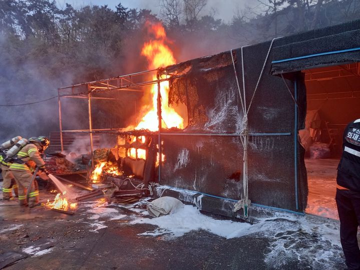 [부산=뉴시스] 부산소방재난본부 제공 *재판매 및 DB 금지