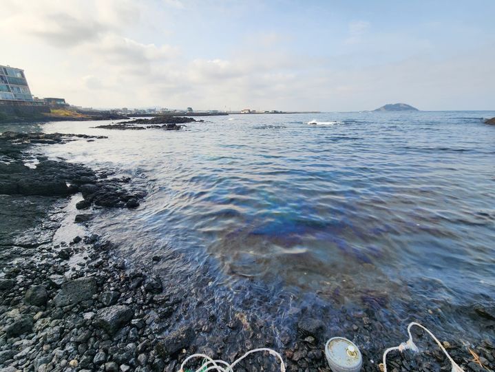 [제주=뉴시스] 23일 오전 제주시 한림읍 해상에서 발견된 기름띠. (사진=제주도소방안전본부 제공) 2024.03.23. photo@newsis.com *재판매 및 DB 금지