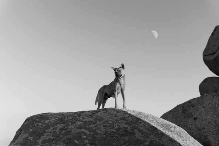 권도연, '북한산, 검은입', 2019(2023 인화), 종이에 디지털잉크젯프린트, 89×133.6cm, ed. 5/5. 국립현대미술관 소장 *재판매 및 DB 금지