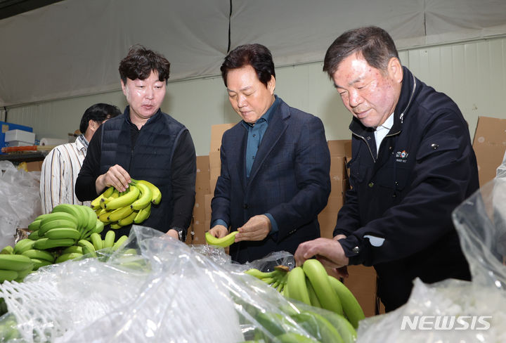 [산청=뉴시스]박완수(가운데) 경남도지사가 27일 산청군 생비량면 ‘올 바나나’ 농장을 방문해 강승훈(왼쪽) 대표와 바나나 상태를 살펴보고 있다.(사진=경남도 제공) 2024.03.27. photo@newsis.com