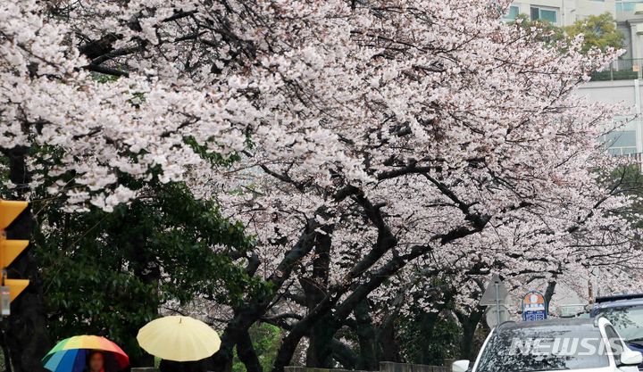 전북 점차 흐려져 밤부터 비…낮 21~25도