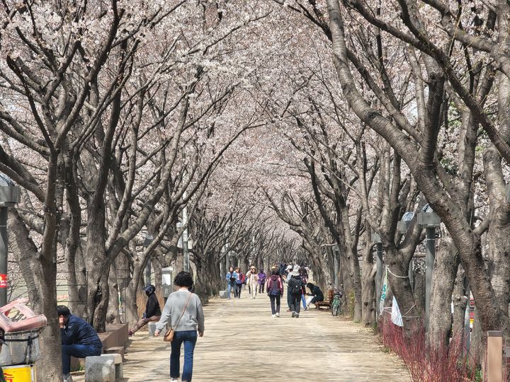 [대구=뉴시스] 이상제 기자 = 29일 오후 대구 동구 지저동 금호강 둔치를 찾은 시민들이 길을 따라 걷고 있다. 2024.03.29. king@newsis.com *재판매 및 DB 금지