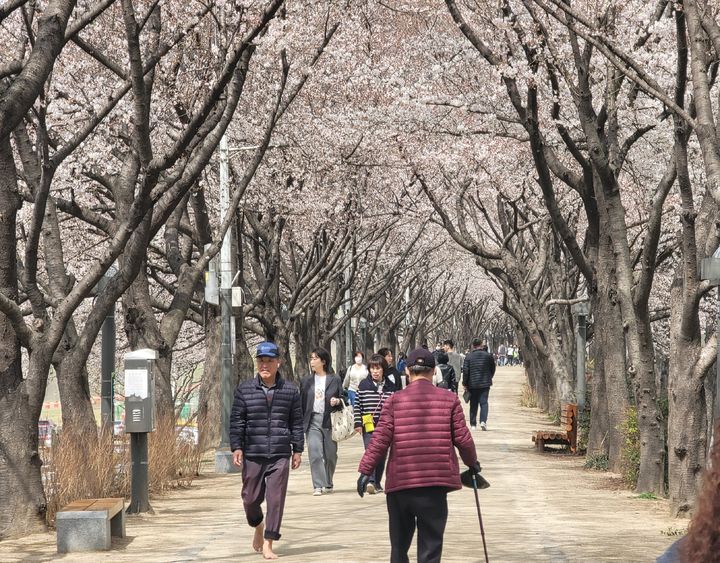 [대구=뉴시스] 이상제 기자 = 29일 오후 대구 동구 지저동 금호강 둔치를 찾은 시민들이 길을 따라 걷고 있다. 2024.03.29. photo@newsis.com *재판매 및 DB 금지