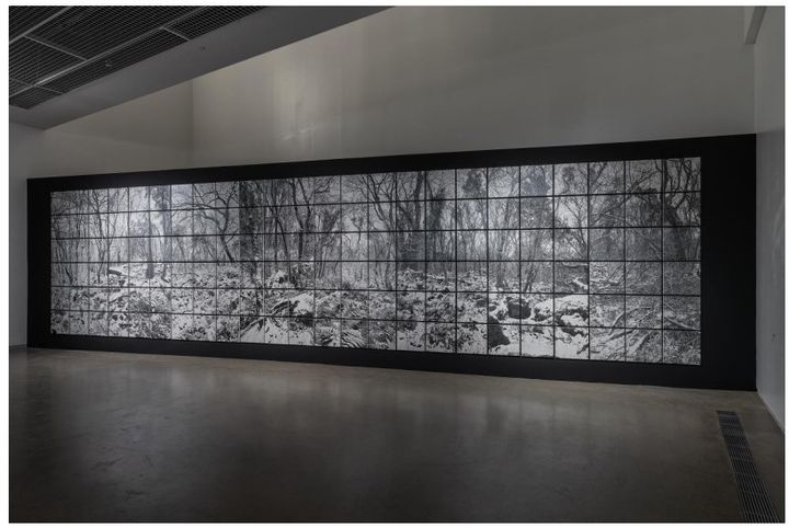 김동기, 곶자왈 프로젝트 73-216, 2019-2021, 한지에 목판화, 가변설치 *재판매 및 DB 금지