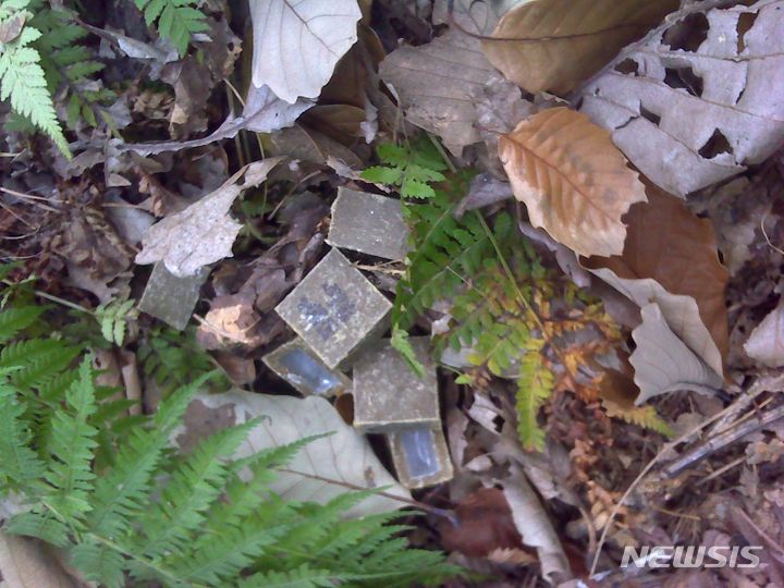 [서울=뉴시스]서울시는 다음 달 15일까지 너구리 등 야생동물 광견병을 예방하기 위해 주요 산·하천 주변에 '광견병 미끼 예방약' 3만7000개를 살포한다고 1일 밝혔다. (사진=서울시 제공). 2024.04.01. photo@newsis.com 