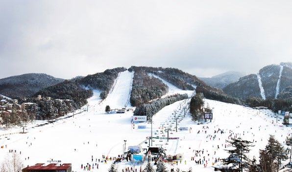 [서울=뉴시스]이번주 강원도 평창과 횡성에 대설주의보가 발령되는 등 강원도 지역에 많은 눈이 내리자 강원도의 한 스키장이 재개장 했다.(사진='모나 용평' 홈페이지 캡처) *재판매 및 DB 금지