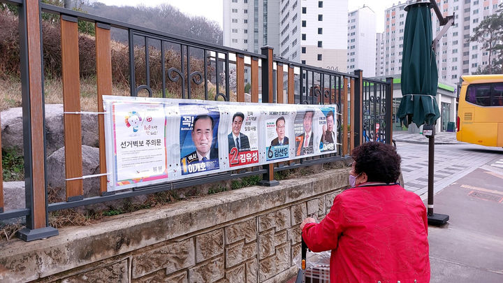 [무안=뉴시스] 송창헌 기자 = 30일 오후 전남 담양의 한 아파트 단지 앞에서 고령의 유권자가 선거벽보를 유심히 살펴보고 있다. 2024.03.30 goodchang@newsis.com *재판매 및 DB 금지