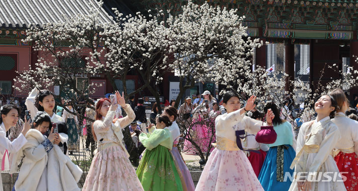 [서울=뉴시스] 김명원 기자 = 서울 종로구 경복궁에서 관광객들이 활짝핀 매화꽃 나무아래서 기념촬영을 하고 있다. 2024.03.31. kmx1105@newsis.com