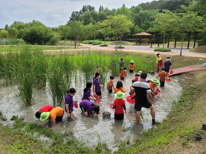 [창녕=뉴시스] 창녕우포늪생태체험장의 논 고동잡기 체험을 하고 있다. (사진=창녕군 제공) 2024.04.01. photo@newsis.com *재판매 및 DB 금지