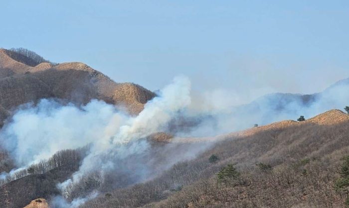 [양산=뉴시스] 산불발생 현장. (사진=뉴시스 DB). photo@newsis.com *재판매 및 DB 금지