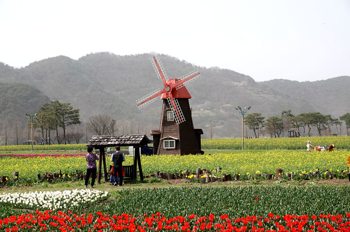 [창녕=뉴시스] 4일부터 7일까지 창녕군 남지읍 남지체육공원 일원에서 유채를 느끼GO, 유채로 즐기GO라는 슬로건으로 열리는 창녕 낙동강유채축제장 전경. (사진=창녕군 제공) 2024.04.02. photo@newsis.com *재판매 및 DB 금지