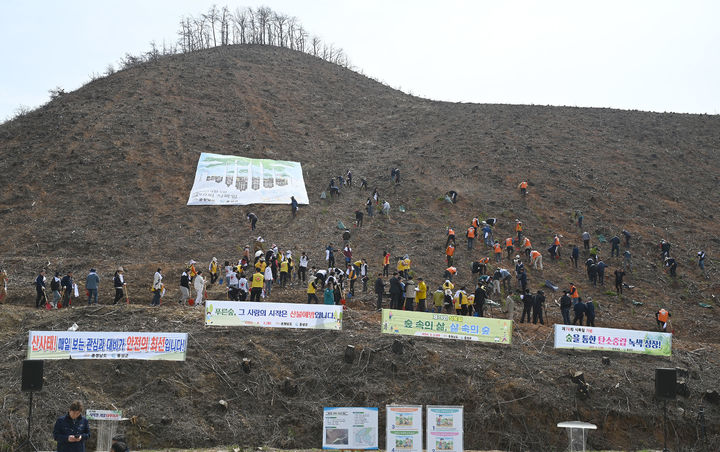 [홍성=뉴시스] 충남도, 홍성군 서부면 일대서 조림사업 모습. *재판매 및 DB 금지