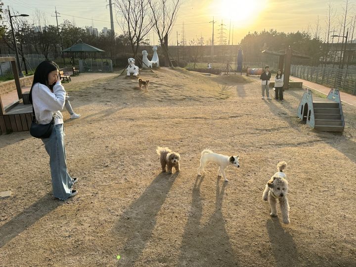 [창원=뉴시스]도로공사 진주(부산방향) 휴게소의 반려견놀이터. 2024.04.02.(사진=도공 부경본부 제공) photo@newsis.com *재판매 및 DB 금지