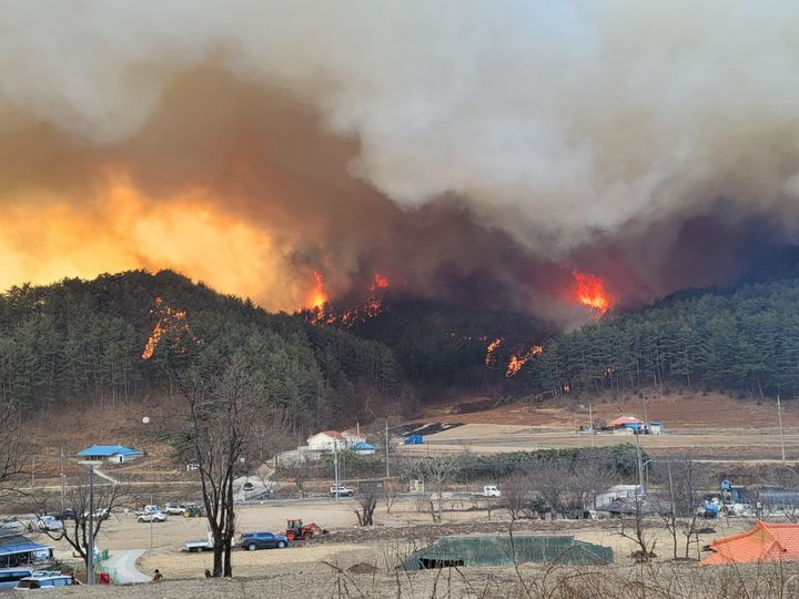 경북도 제공 *재판매 및 DB 금지