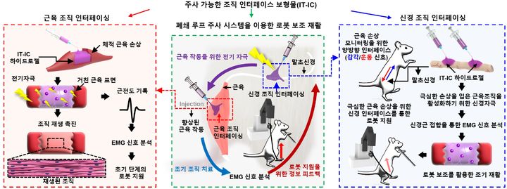 주사주입형 소자 그림. (사진=과기정통부 제공) *재판매 및 DB 금지