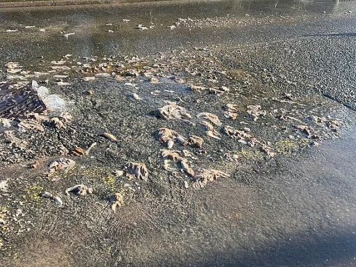 [서울=뉴시스] 영국의 한 마을에서 5개월째 하수가 범람하고 있다고 데일리메일 등이 2일(현지시각) 보도했다. 사진은 하수가 넘쳐 쓰레기들이 흩어진 장면. (사진=데일리메일 보도 갈무리) 2024.04.03. *재판매 및 DB 금지