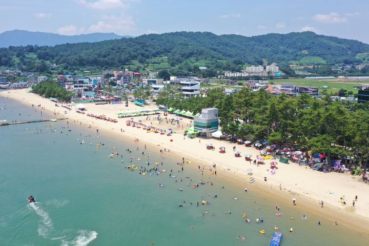 [보성=뉴시스] 보성 율포솔밭해수욕장 전경. (사진 = 보성군 제공). 2024.04.03. photo@newsis.com *재판매 및 DB 금지