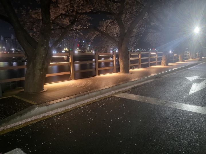 [밀양=뉴시스] 도뮤토아파트 앞 산책로에 신규 설치된 경관조명. (사진=밀양시 제공) 2024.04.03. photo@newsis.com *재판매 및 DB 금지