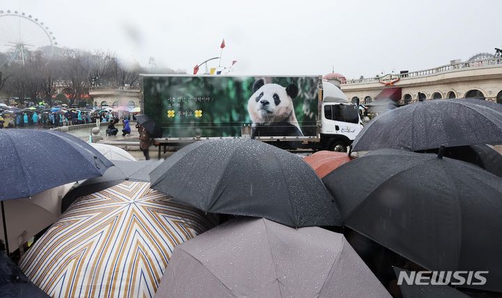 [용인=뉴시스] 사진공동취재단 = 3일 오전 경기도 용인시 에버랜드에서 시민들이 중국으로 떠나는 푸바오를 싣고 있는 무진동 특수 차량을 보며 배웅하고 있다. 2024.04.03. photo@newsis.com