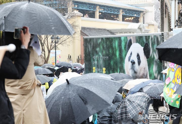 [용인=뉴시스] 사진공동취재단 = 3일 오전 경기도 용인시 에버랜드에서 시민들이 중국으로 떠나는 푸바오를 싣고 있는 무진동 특수 차량을 보며 배웅하고 있다. 2024.04.03. photo@newsis.com