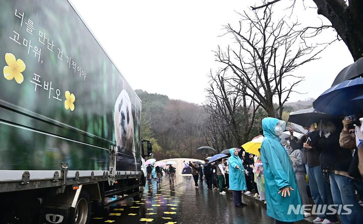 [용인=뉴시스] 사진공동취재단 = 3일 오전 경기도 용인시 에버랜드에서 시민들이 중국으로 떠나는 푸바오를 싣고 있는 무진동 특수 차량을 보며 배웅하고 있다. 2024.04.03. photo@newsis.com