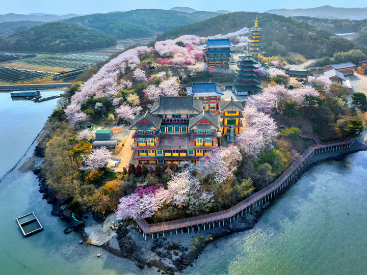 [홍성=뉴시스] 바다와 봄꽃으로 둘러싸인 안면암 전경. *재판매 및 DB 금지