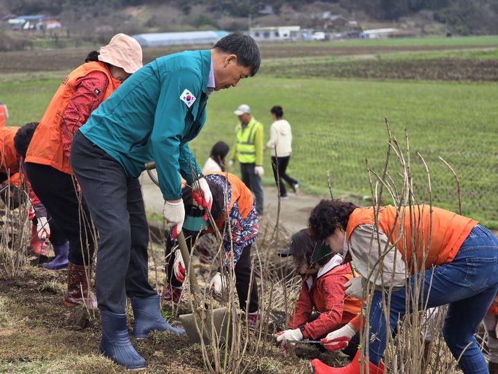 [고성(경남)=뉴시스] 신정철 기자= 경남 고성군은 4일 상리면 연꽃공원 일원에서 한국토지주택공사와 경상남도자원봉사센터, 경남사회복지공동모금회, 고성군자원봉사단체협의회 임직원 및 자원봉사자 70여 명이 참여한 가운데 ‘LH와 함께하는 탄소상쇄 숲 조성 식목 행사’를 진행했다.사진은 탄소상쇄 숲 조성 식목 행사 모습.(사진=고성군 제공).2024.04.04. photo@newsis.com *재판매 및 DB 금지