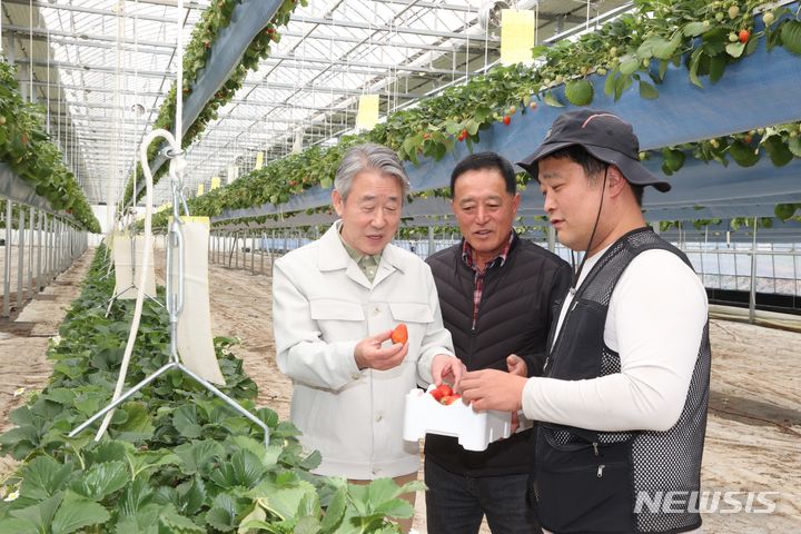 [세종=뉴시스]강호동 농협중앙회장이 대구 달성군 소재 딸기 스마트팜을 방문해 청년농업인과 대화를 하고 있다.(사진=농협 제공)