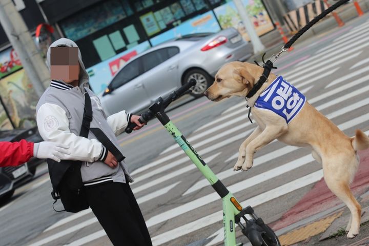 충북 청주시 서원구 한 거리에서더불어민주당 이광희 후보의 이름이 적힌 띠를 두른 개가 두발로 서 있다. (사진=국민의힘 충북도당 제공) *재판매 및 DB 금지