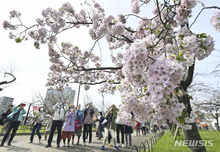 [오사카=AP/뉴시스] 일본 오사카 지방법원은 사형수 2명이 ‘형 집행 사전 고지 해달라’며 낸 소송에 대해 ‘알 권리 없다’라며 기각했다고 아사히신문이 15일 보도했다. 사진은 오사카의 한 거리. 2024.04.16.