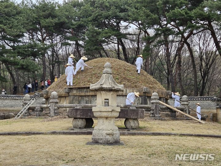 [구리=뉴시스] 이호진 기자=5일 한식(寒食)을 맞아 청완 예초의(靑薍 刈草儀)가 거행된 경기 구리시 동구릉 내 건원릉(健元陵) 모습. 길게 자란 억새들이 말끔하게 정리됐다. 건원릉에 자라는 억새는 태조 이성계의 유언에 따라 고향인 함흥의 억새를 옮겨온 것으로 알려졌다. 2024.04.05. asake@newsis.com