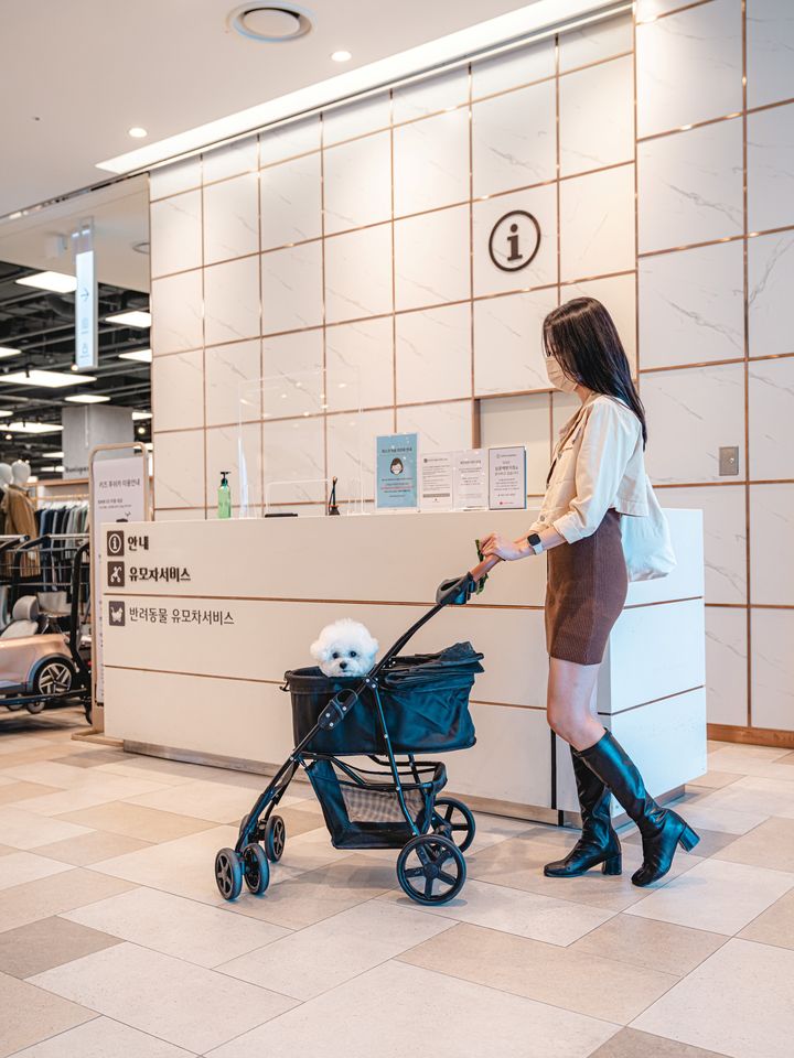 롯데아울렛 군산점에서 '펫모차 대여 서비스'를 이용 중인 고객 모습(사진=롯데아울렛 제공) *재판매 및 DB 금지