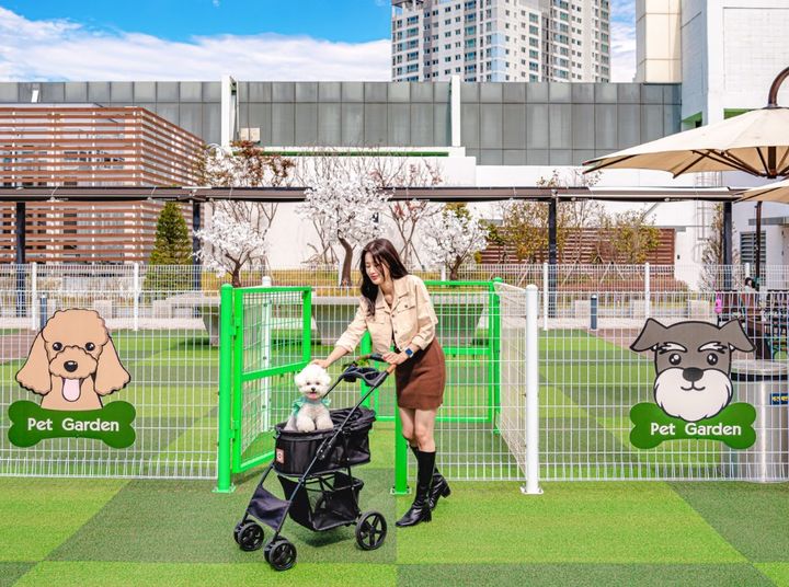 롯데몰 군산점 반려견 놀이터에서 반려견과 놀고 있는 고객 (사진=롯데아울렛 제공) *재판매 및 DB 금지