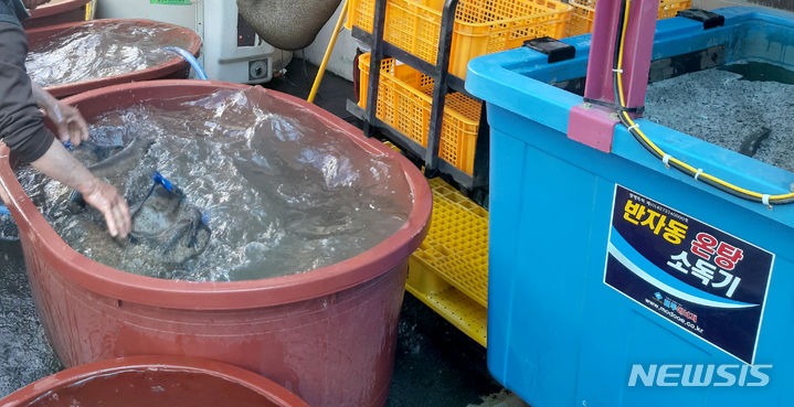 [곡성=뉴시스] 볍씨 친환경 온탕 소독. (사진=곡성군청 제공). photo@newsis.com *재판매 및 DB 금지