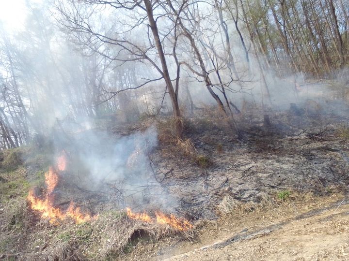 [괴산=뉴시스] 안성수 기자 = 7일 오후 2시 37분 충북 괴산군 괴산읍 한 야산에서 불이 났다. (사진=산림청 제공) 2024.4.7. photo@newsis.com *재판매 및 DB 금지