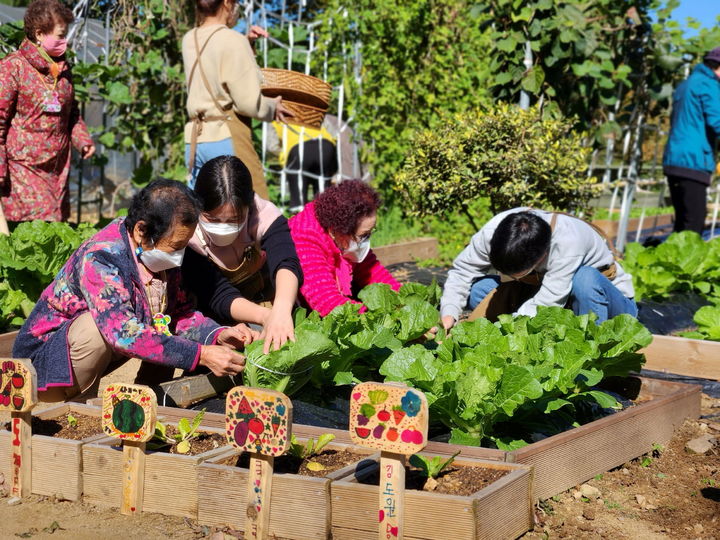 [진주=뉴시스]진주시치매안심센터, 모두의 치유농업 프로그램 운영.(사진=진주시 제공).2024.04.08.photo@newsis.com *재판매 및 DB 금지