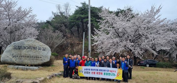 [산청소식]오부 30리 벚꽃길 표지석 제막 등