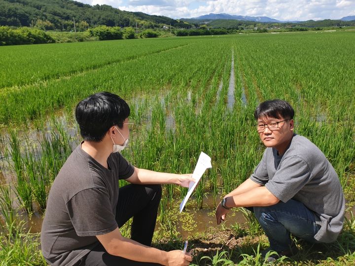 [산청소식]오부 30리 벚꽃길 표지석 제막 등