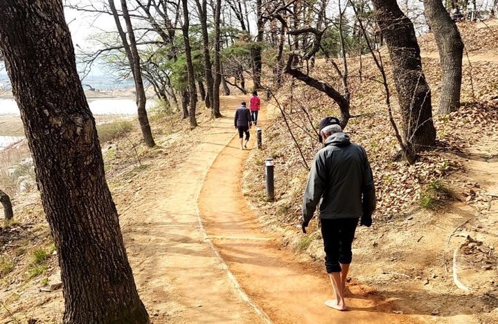 [충주=뉴시스] 이병찬 기자 = 충북 충주시는 호암지 산책로 일부 구간에 황토와 마사토를 이용한 폭 2m, 길이 380m 규모의 맨발 산책로를 조성했다고 8일 밝혔다.(사진=충주시 제공)2024.04.08.photo@newsis.com *재판매 및 DB 금지