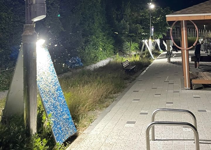 삼패지구에 설치된 동양하루살이용 트랩. (사진=남양주시 제공) *재판매 및 DB 금지 *재판매 및 DB 금지