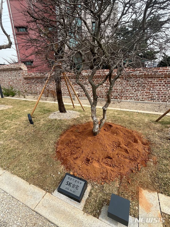 [수원=뉴시스]이현주 기자 = 최태원 회장을 포함한 SK 일가가 8일 식재한 느릅나무. lovelypsyche@newsis.com