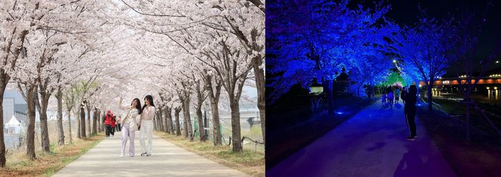 동해 진천 제방길의 밤과 낮 *재판매 및 DB 금지