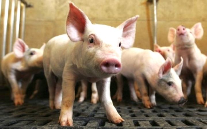  *재판매 및 DB 금지