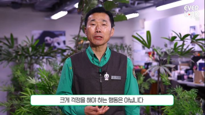 [서울=뉴시스] 11일 에버랜드 공식 유튜브 채널에 '우리 푸바오는요'라는 제목의 영상이 올라왔다 (사진= 유튜브 채널 '에버랜드' 캡처 ) 2024.4.11. photo@newsis.com *재판매 및 DB 금지