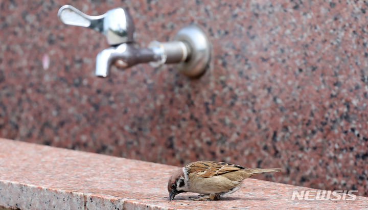 대구·경북, 대체로 맑음…일교차 15~20도 내외