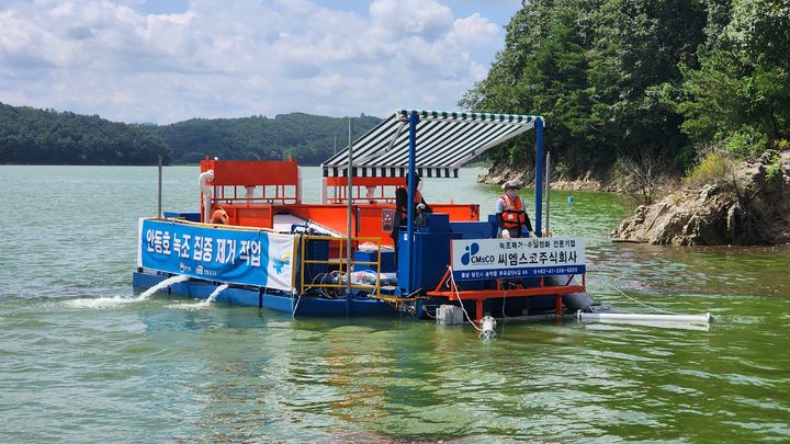 [대전=뉴시스 ]안동댐에서 녹조 제거선이 오염원 사전 점검에 나서고 있다. (사진=뉴시스 DB). photo@newsis.com *재판매 및 DB 금지