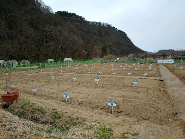 [대구=뉴시스] 대구 수성구 천을산 공영도시농업농장 전경. (사진=대구시 수성구 제공) 2024.04.14. photo@newsis.com *재판매 및 DB 금지