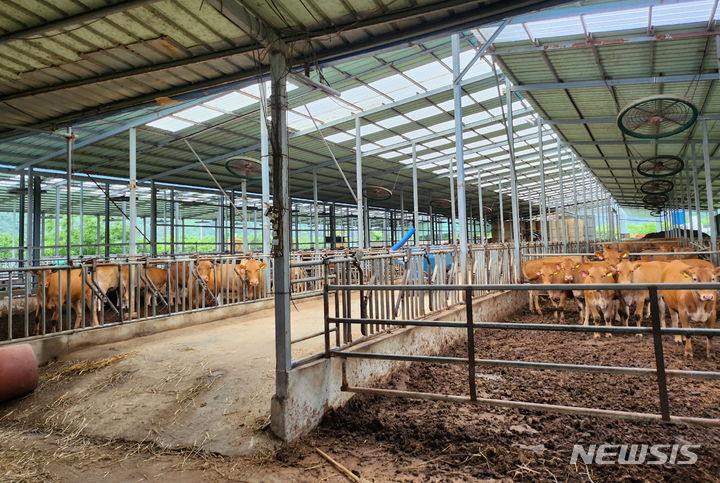 [서울=뉴시스] 경주시 소재 한 축산 농가. (사진=뉴시스 DB) 2024.04.14. photo@newsis.com