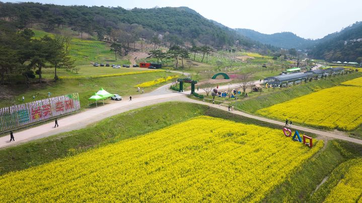 [광주=뉴시스] '2024 화순 고인돌 봄꽃축제'가 18일 유네스코 세계문화유산, 화순 고인돌유적지에서 개막한다. (사진=화순군 제공). 2024.04.15. photo@newsis.com *재판매 및 DB 금지