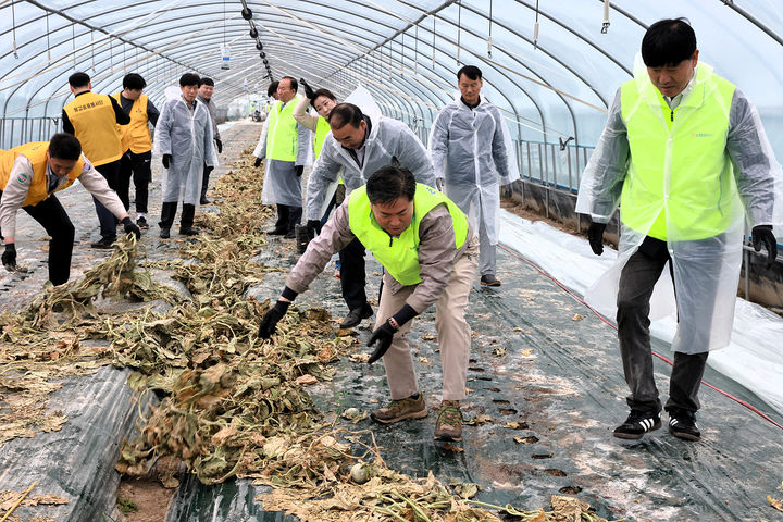 [창원=뉴시스]경남농협, 영농지원 발대식후 농촌 일손 돕기.2024.04.15.(사진=경남농협 제공) photo@newsis.com *재판매 및 DB 금지